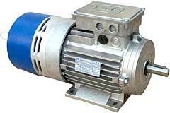 MOTORI ELETTRICI TF 90L/4 B5