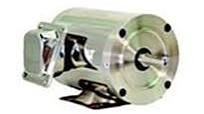 WEG 118EP3ESS56C