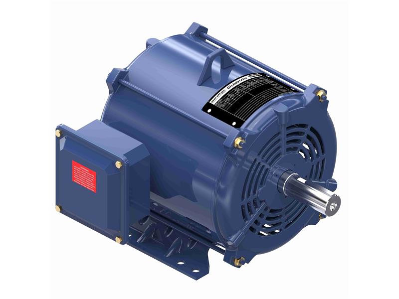 REGAL REXNORD 184TTDBD6030