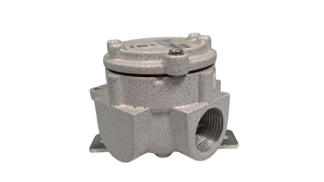 CORTEM GROUP SL24.1N