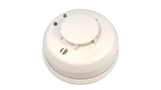 DMP CORPORATION 1164-W