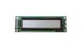 LUMEX LCM-S02002DSF
