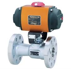 30F39SN R7 par FLOWSERVE