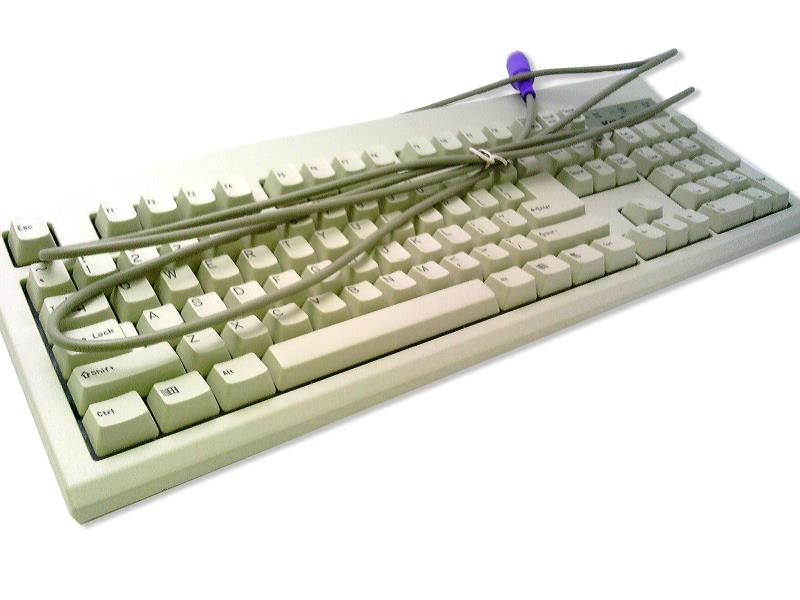 KEYTRONIC E06101D-C