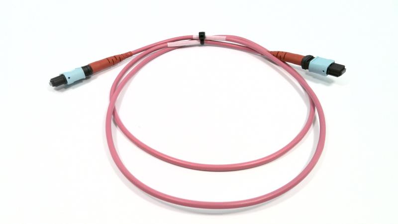 FS 24FMTPOM4