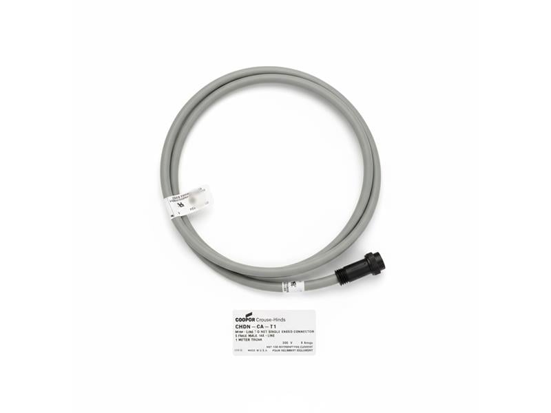 EATON CORPORATION CHDN-CA-T1