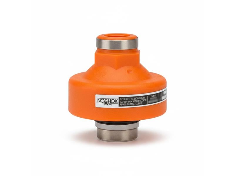 NOSHOK 10L-04S-T-T-06KN