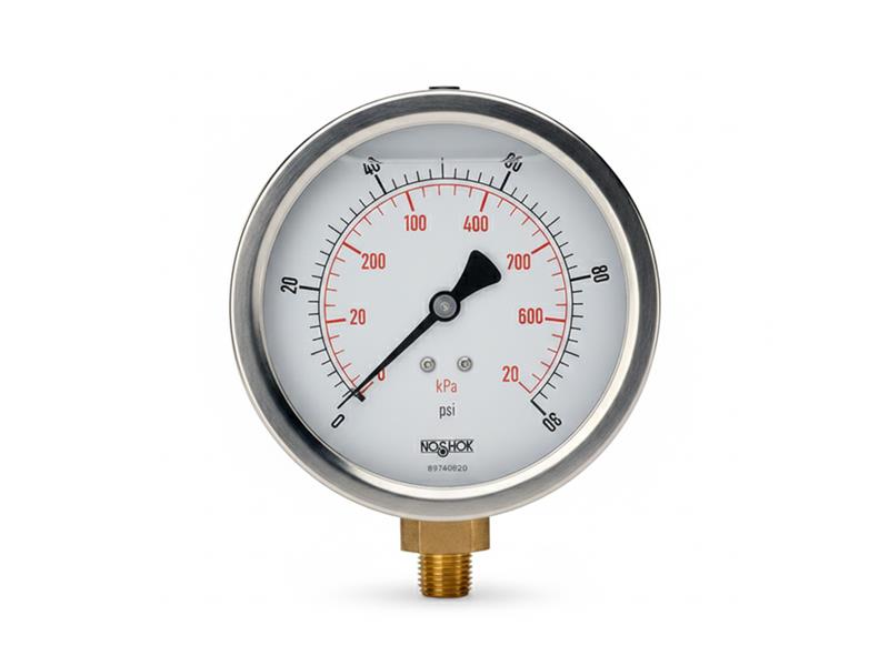 NOSHOK 25-901-25-BAR/PSI-G1/4-MIP-CC