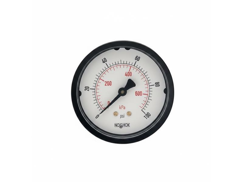 NOSHOK 25-110-30-PSI/KG/CM2-BLFF-CC