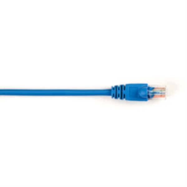 CAT5EPC-002-BL-25PAK par BLACK BOX CORP