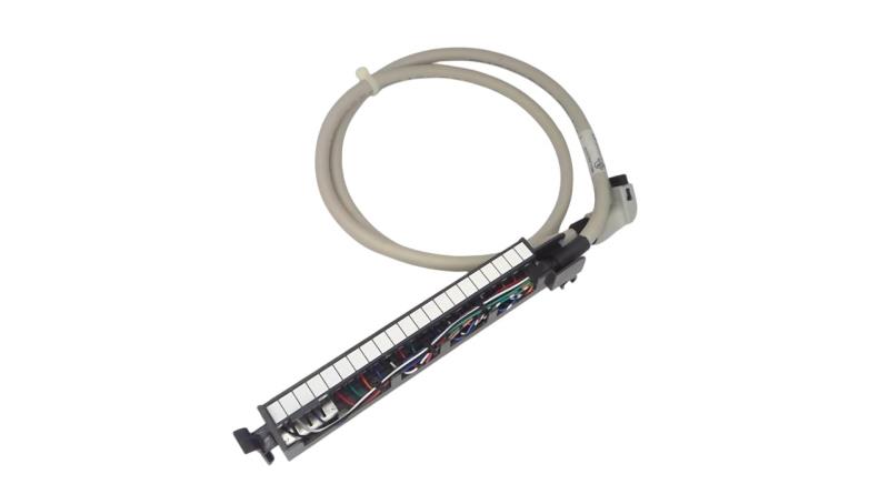 ALLEN BRADLEY 1492-CABLE010F