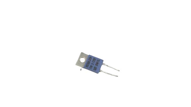 RIEDON FPR 2-T220