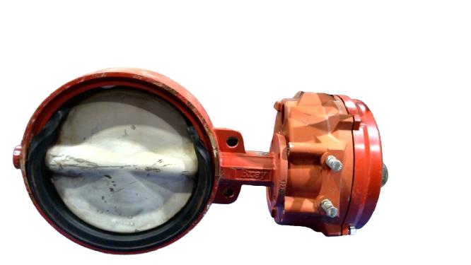 BRAY 70-0651-113DA-536A