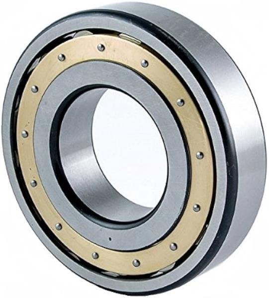 SCHAEFFLER GROUP 6005-MA-C3