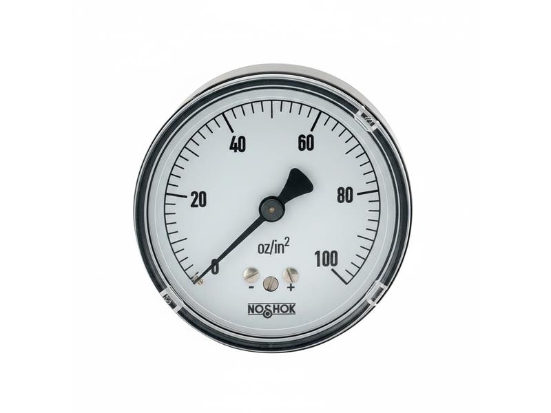 10L-02S-S-V-02PP por NOSHOK