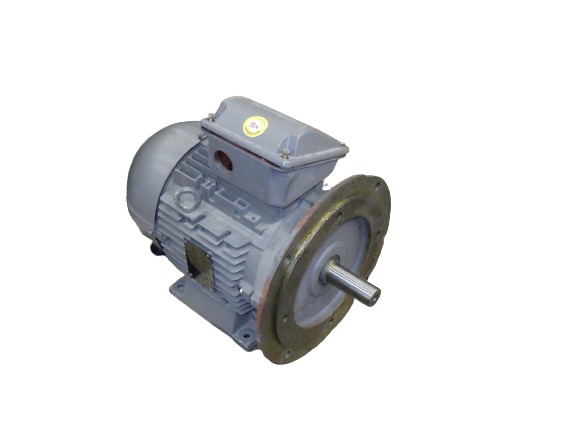 00536MT3E184TDT by WEG