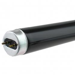 HEGUCHI F10T10 BLB