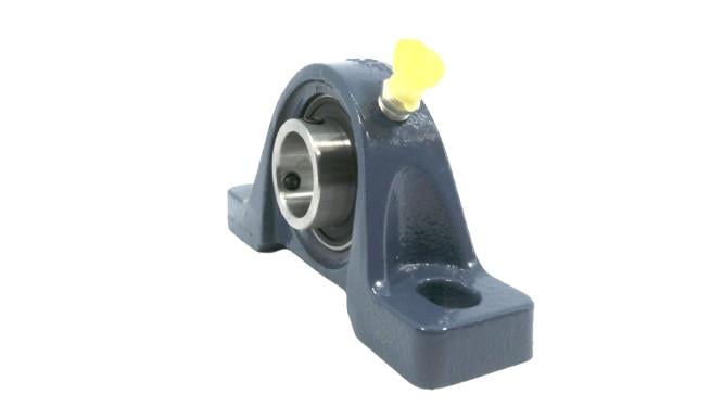SKF P2B 100-RM