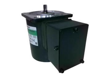 ORIENTAL MOTOR 5IK40GN-ECH