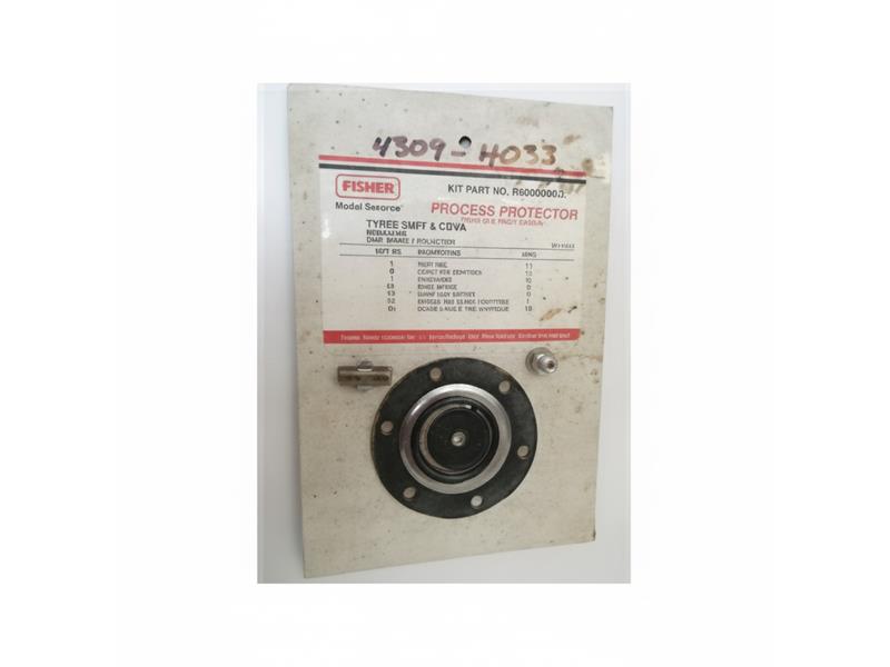 R1-301FX0012 do EMERSON