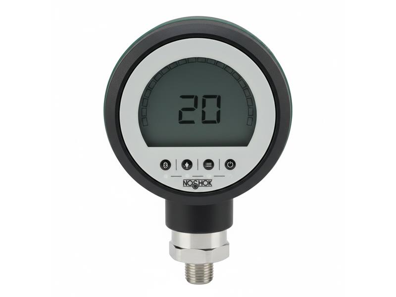 PGE20-150PSIG-1-2-DL-RCP par NOSHOK