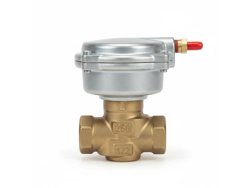 256-02041A par ITRON