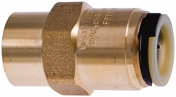 WATTS 0652005