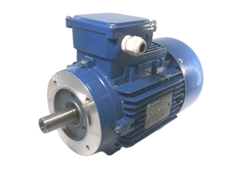 MOT.3 M6Q 90 L4 par MARELLI MOTORI