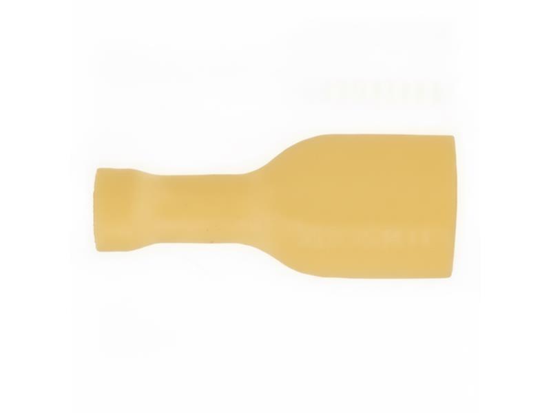 595021 do SHAMROCK