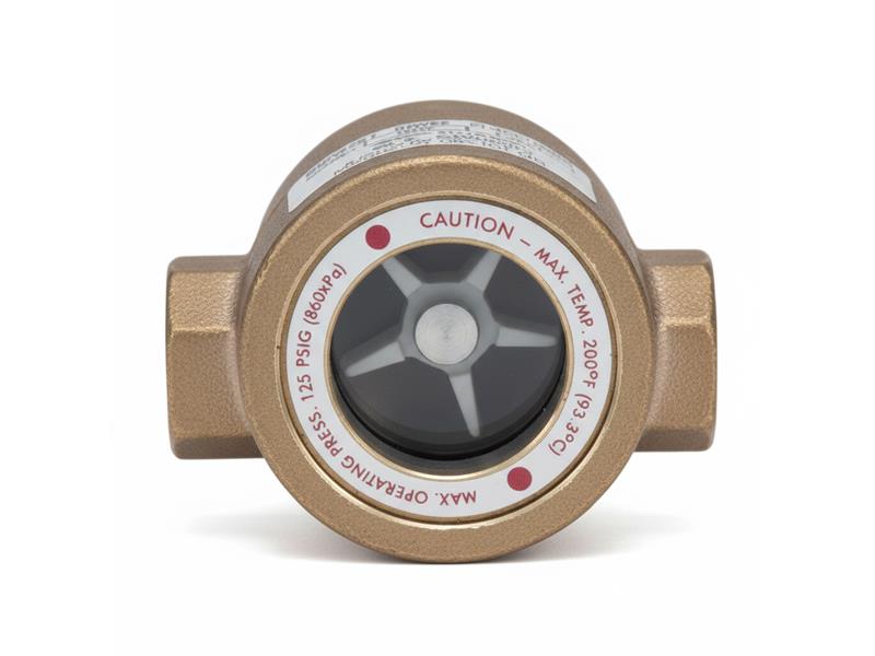 SFI-300-3/4-G1-I2 par DWYER