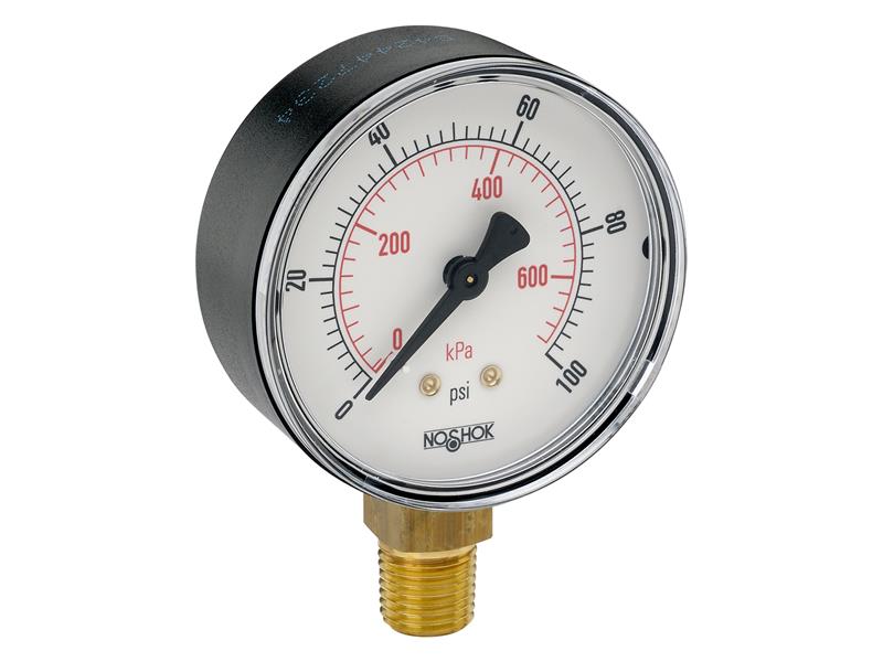 NOSHOK 25-100-300-PSI/KG/CM2