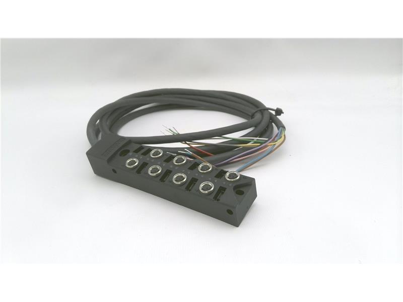 BALLUFF BPI 8M303P-5K-B0-KPXA0-030