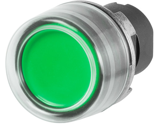 020PICGV par NEW ELFIN