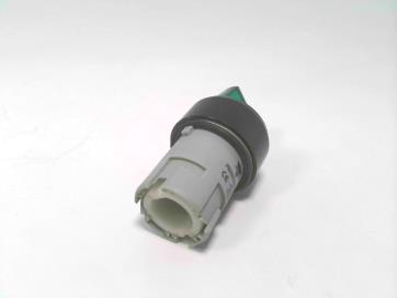 CARLO GAVAZZI PB22SISRS31G