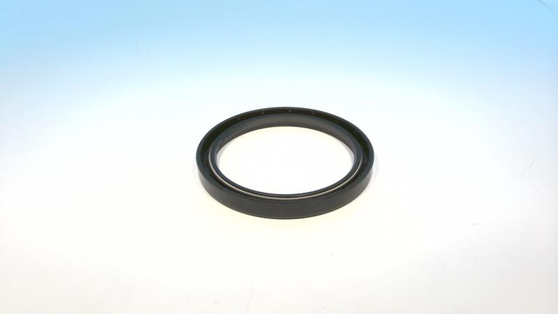 INTERNATIONAL SEAL & PACKING R00217