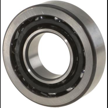 SCHAEFFLER GROUP 7308-B-XL-TVP