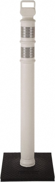 PRO SAFE INC 03-747W