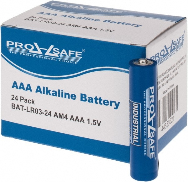PRO SAFE INC BAT-LR03-24