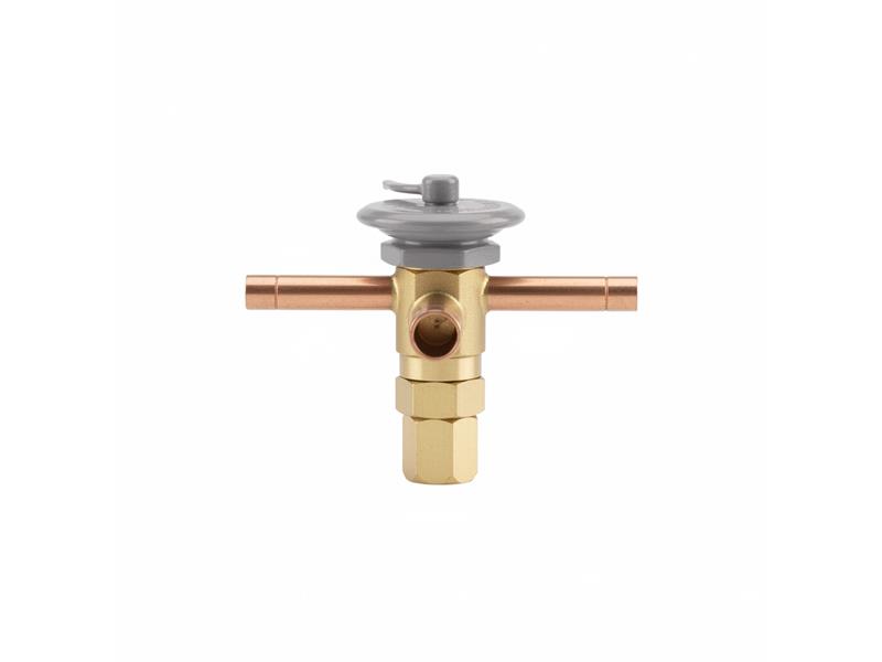 S1-168720 por JOHNSON CONTROLS