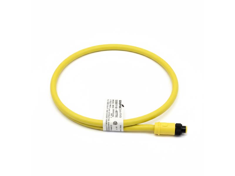 EATON CORPORATION 5000118-4077SEZ