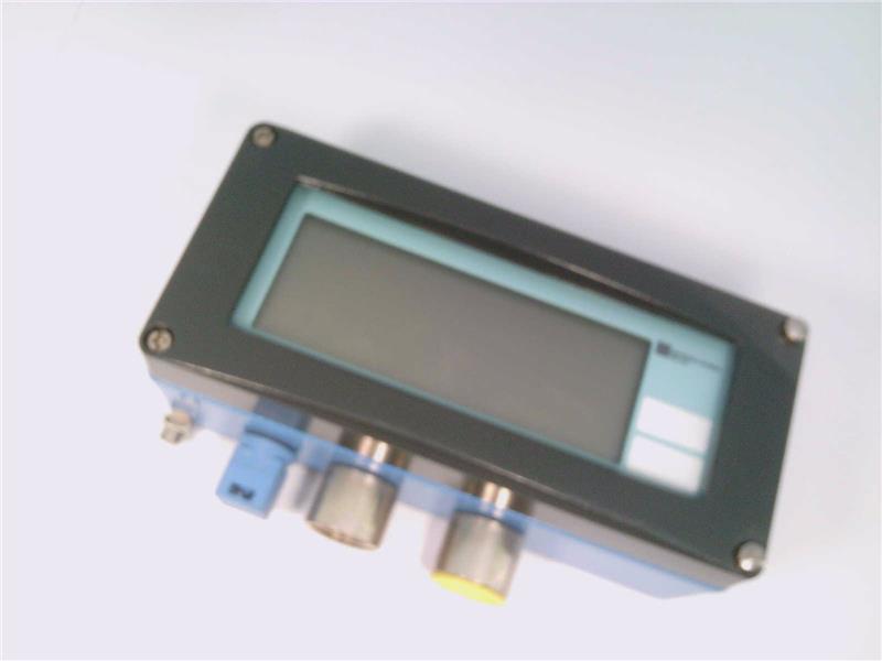 ENDRESS & HAUSER RIA261