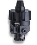 NORGREN R24-300-RGFA