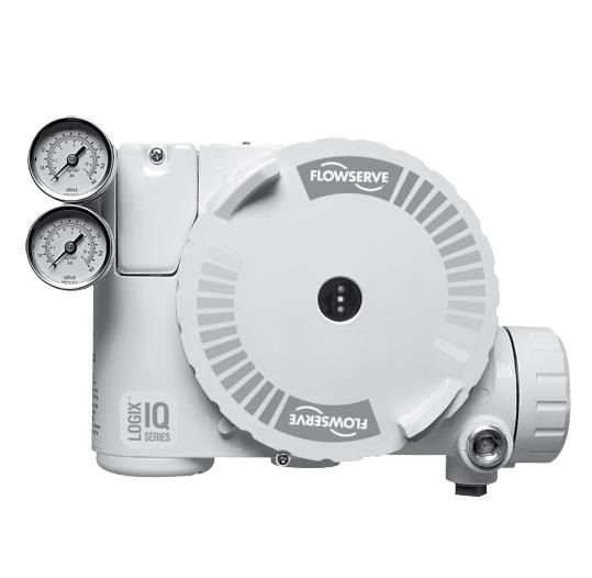 215831.999.000 par FLOWSERVE