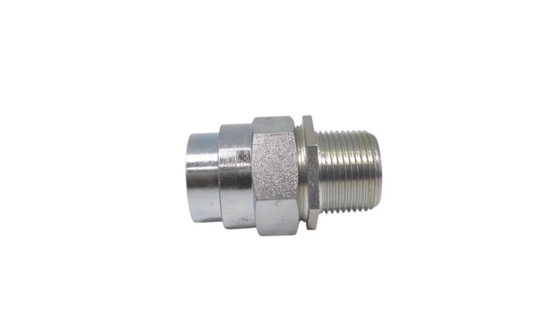 CORTEM GROUP BMF1NS