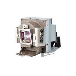 RADWELL VERIFIED SUBSTITUTE LVP-XD350-SUB (LAMP & HOUSING)