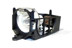 RADWELL VERIFIED SUBSTITUTE TDP-S2V-SUB (LAMP & HOUSING)