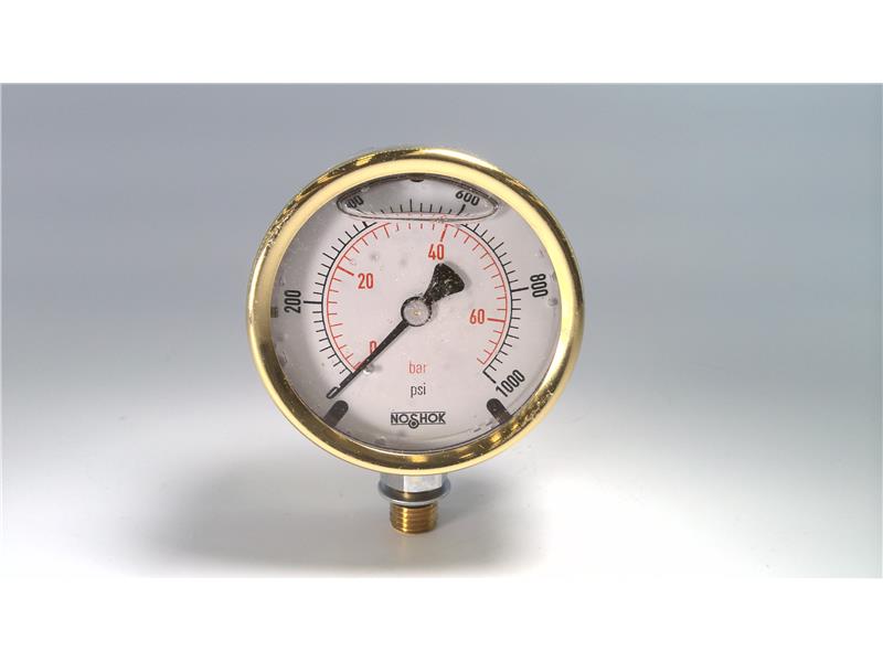 NOSHOK 25-300-1000-PSI/BAR-SST