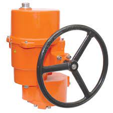 BELIMO SY12-120MFT