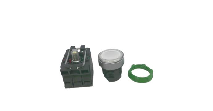 SCHNEIDER ELECTRIC XB5AW31M5C0