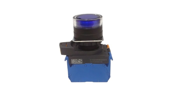 OMRON A22NL-BGM-TAA-G102-AC